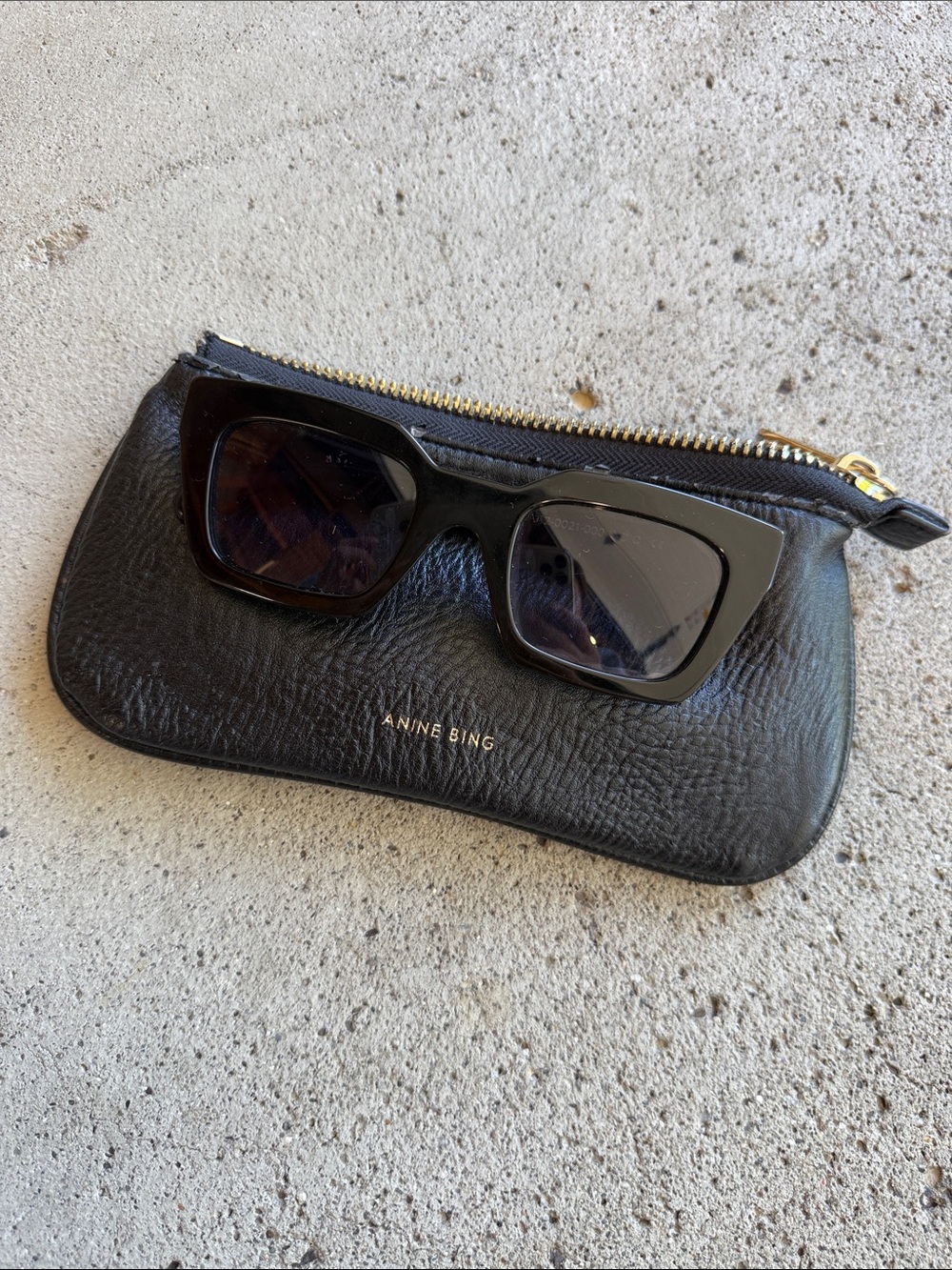 Anine Bing Black Leather Zip Pouch with Black Sunglasses